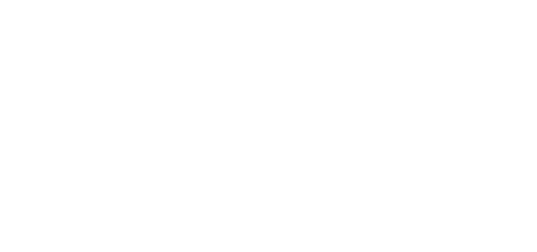 Schnauer and Co