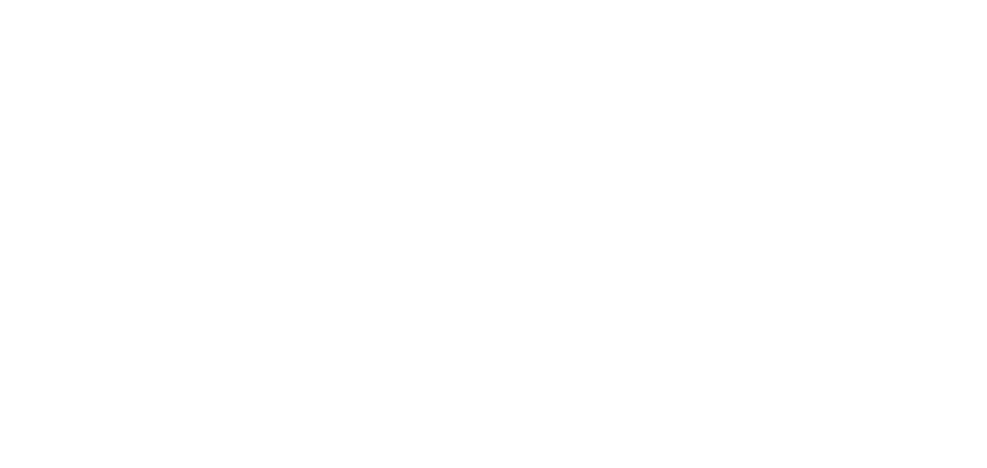 SFS Logo white transparent