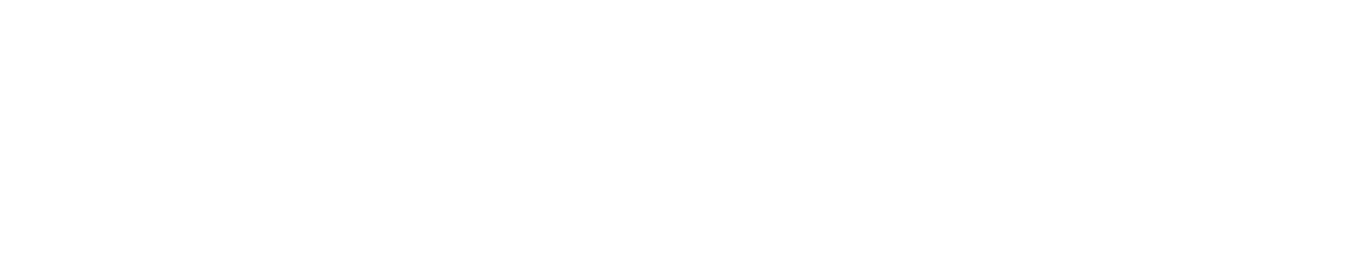 NZF-wordmark-White